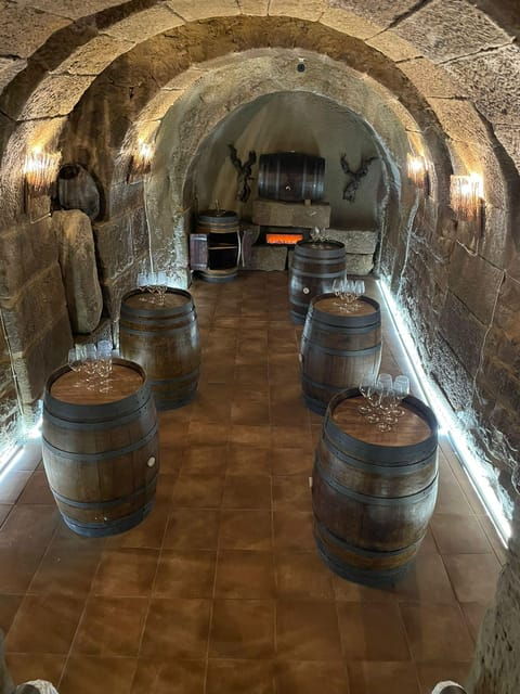 tasting-in-underground-winery-draft