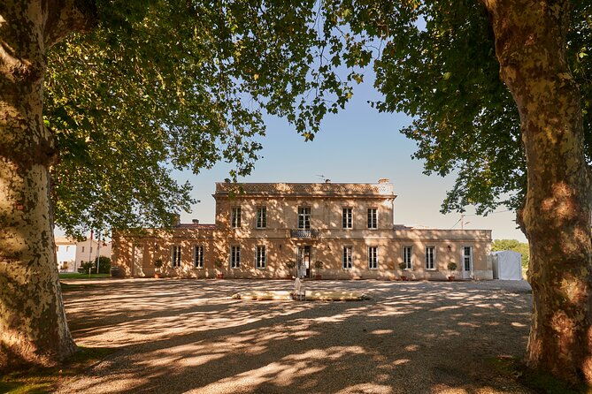 tasting-of-6-wines-at-chateau-haut-breton-larigaudiere-2