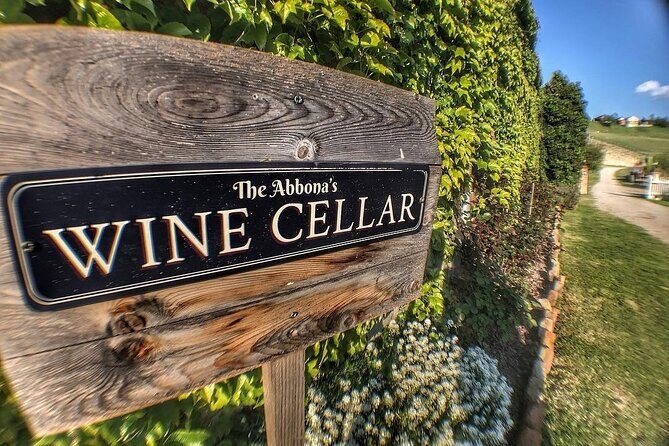 Tasting of 7 wines in the Langhe and visit to the cellar - The Sum Up