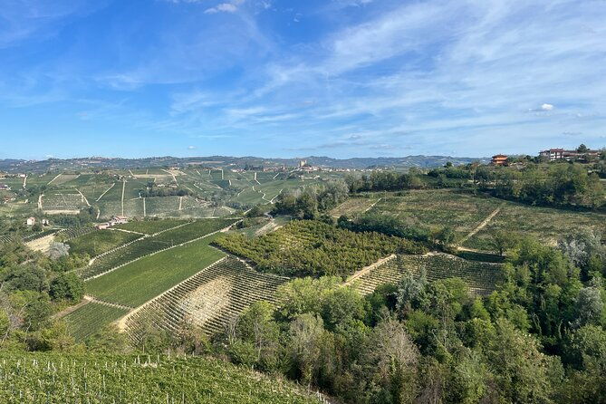 tasting-of-classic-method-sparkling-wines
