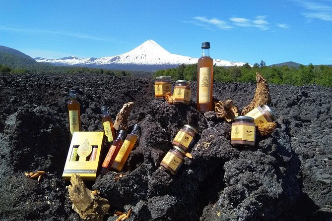 tasting-of-handmade-liquors-marinade-and-jams