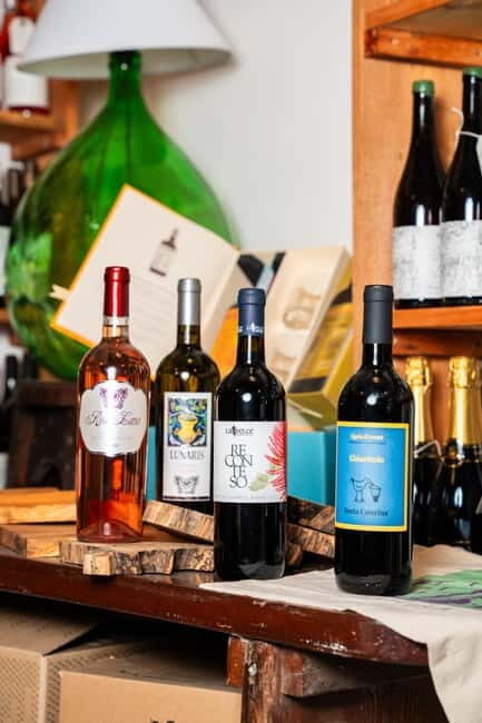 Tasting of Local Wines with appetizers in Rapallo's historic center. - Who Will Love This Tour?