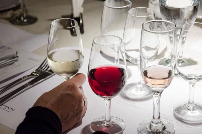 tasting-of-regional-wines-in-mansion-tango