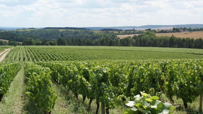 Tasting: Sparkling Discovery - An In-Depth Look at the Sparkling Discovery Tour