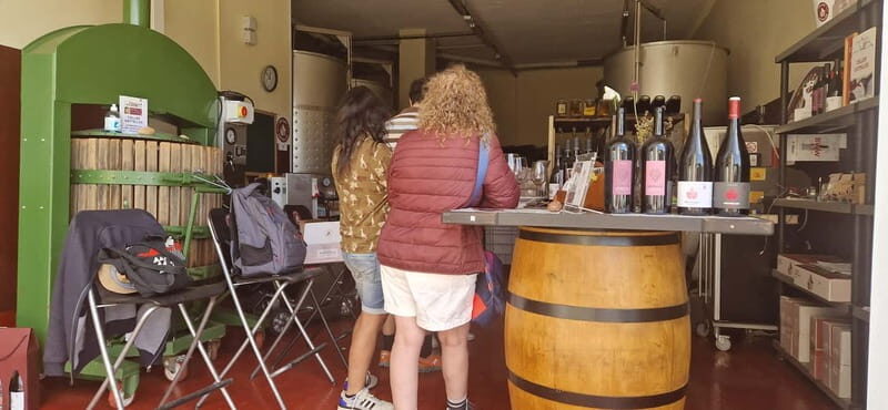 tasting wines in the vineyards with hotel pickup hotel - A Detailed Look at the Experience
