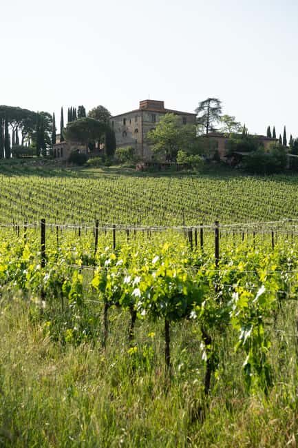 Tastings in the villa - THE SECRETS OF THE TORRIOLO ESTATE - Final Thoughts