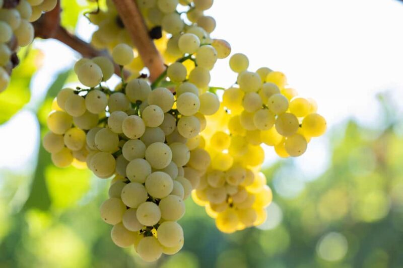 Tastings - Why This Experience Works