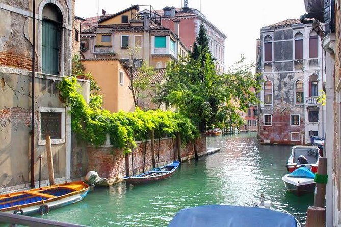 tasty-street-food-tour-of-venice-city-center-with-cicchetti-local-specialties