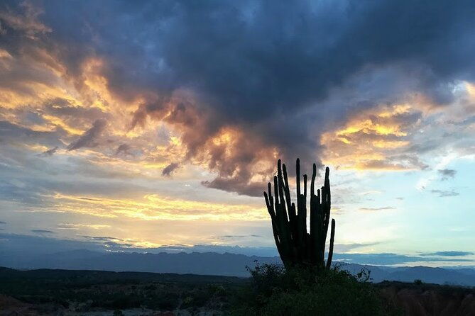 tatacoa-desert-day-trip-live-discover-and-connect