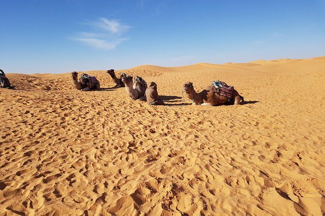 Tatouine - Cheneni - Ksar Ghuilaine - Matmata: 2 days visit - Key Points