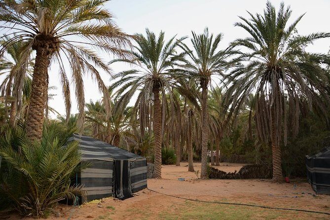 Tatouine - Cheneni - Ksar Ghuilaine - Matmata: 2 days visit - Food and Accommodation