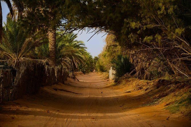Tatouine - Cheneni - Ksar Ghuilaine - Matmata: 2 days visit - Challenges Noted by Travelers