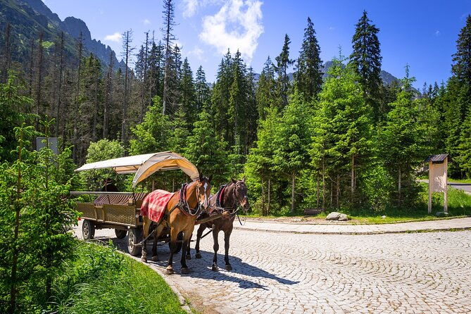 tatra-mountains-and-zakopane-full-day-tour-from-krakow