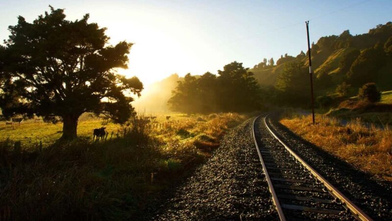 Taumarunui: Forgotten World Rail Cart Tour with Lunch - An Authentic Journey through New Zealand’s Hidden Railway Pathways