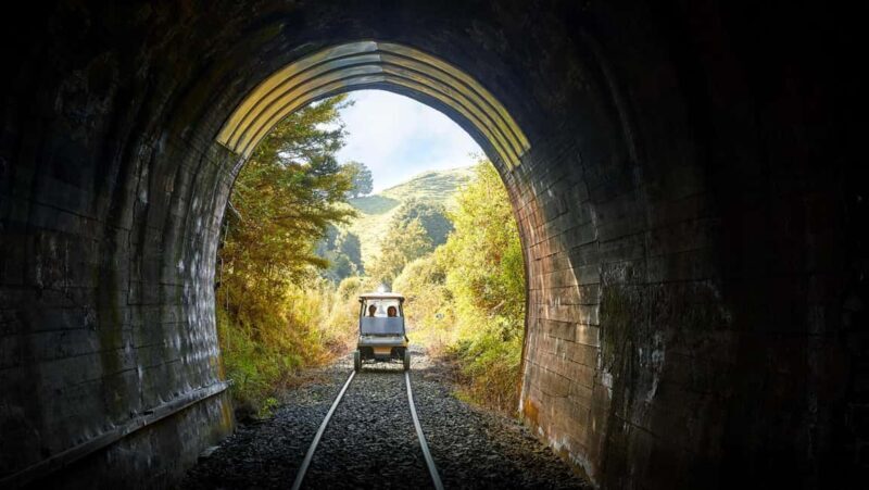 Taumarunui: Forgotten World Rail Cart Tour with Lunch - The Itinerary: What Makes It Special?
