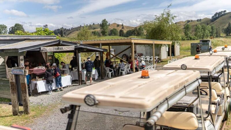 Taumarunui: Forgotten World Rail Cart Tour with Lunch - Why This Tour Stands Out
