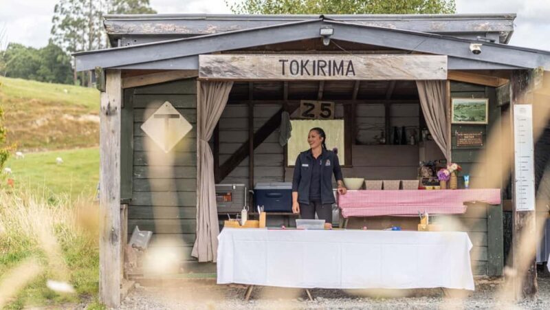 Taumarunui: Forgotten World Rail Cart Tour with Lunch - FAQ