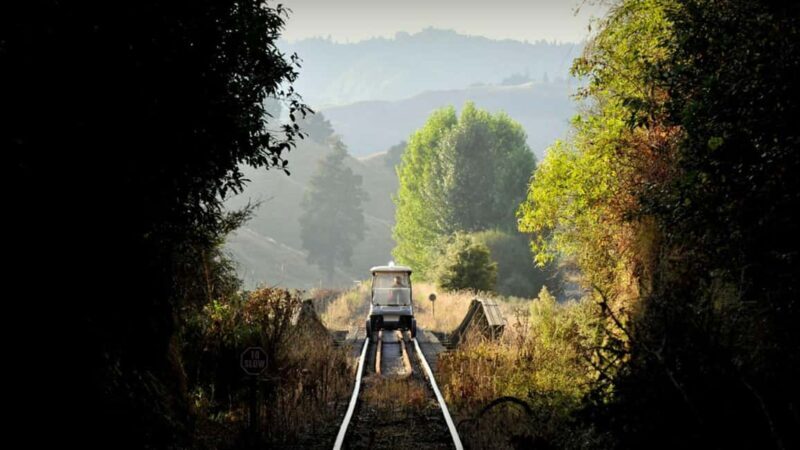 Taumarunui: Railcart and Jetboat Adventure with lunch - An In-Depth Look at the Tour Experience