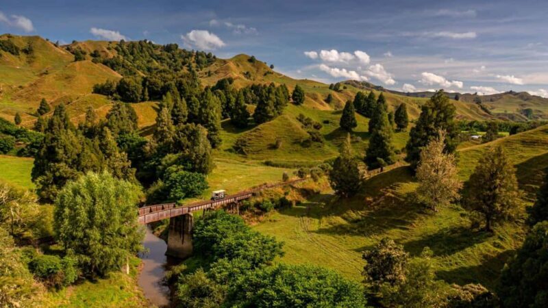 Taumarunui: Railcart and Jetboat Adventure with lunch - Final Thoughts