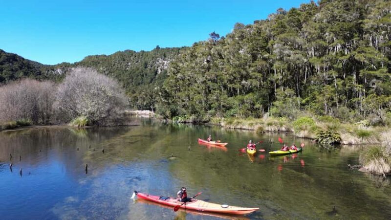 Taup: Hidden Lake Kayak Tour with Sunken Forest Views - FAQ