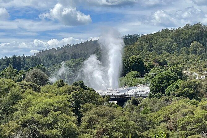 Taup to Auckland via Rotorua and Hobbiton - Exploring the Full Itinerary