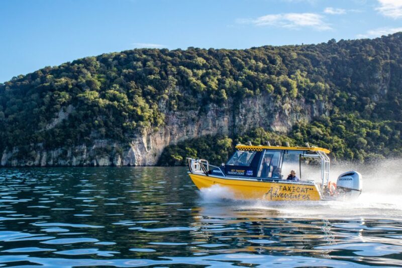 Taupo: Lake Taupo Western Bays Catamaran Tour with Bush Walk - Practical Details: What to Bring & How to Prepare