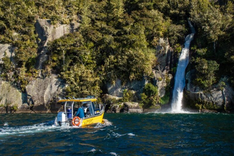 Taupo: Lake Taupo Western Bays Catamaran Tour with Bush Walk - Authentic Experiences and Insights from Reviewers