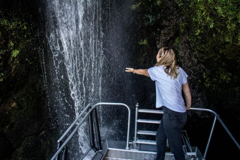Taupo: Lake Taupo Western Bays Catamaran Tour with Bush Walk - Who Should Consider This Tour?