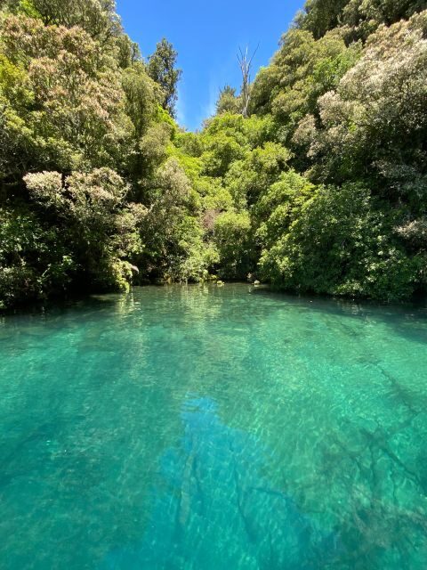 Taupo: Lake Taupo Western Bays Catamaran Tour with Bush Walk - Final Thoughts