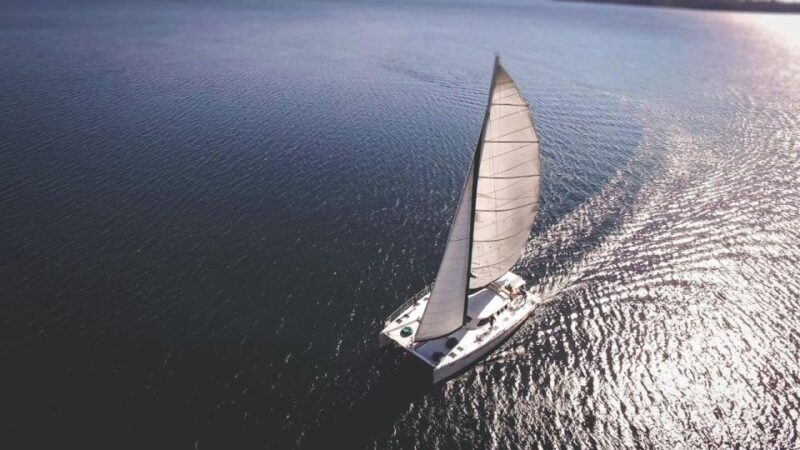 Taupo: Mori Rock Carvings Lake Taupo Catamaran Tour - Final Thoughts: Is This Tour Worth It?