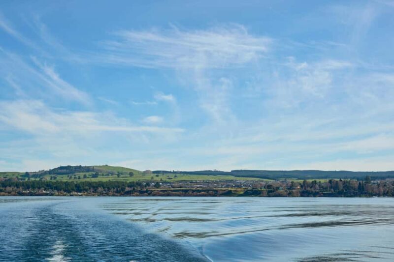 Taupo/Turangi: The Torohe Half-Day Horse Trek - What Makes This Tour Stand Out?