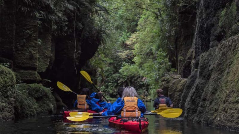 Tauranga: Daytime Scenic Lake McLaren Kayak Tour - An In-Depth Look at the Lake McLaren Kayak Tour