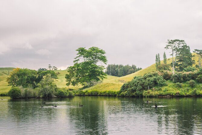 Tauranga Daytime Scenic Lake McLaren Tour - The Verdict: Who Should Consider This Tour?