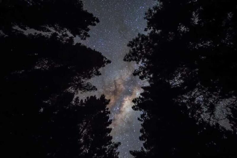 Tauranga: Evening Big Kanu Glowworm Tour - Key Points