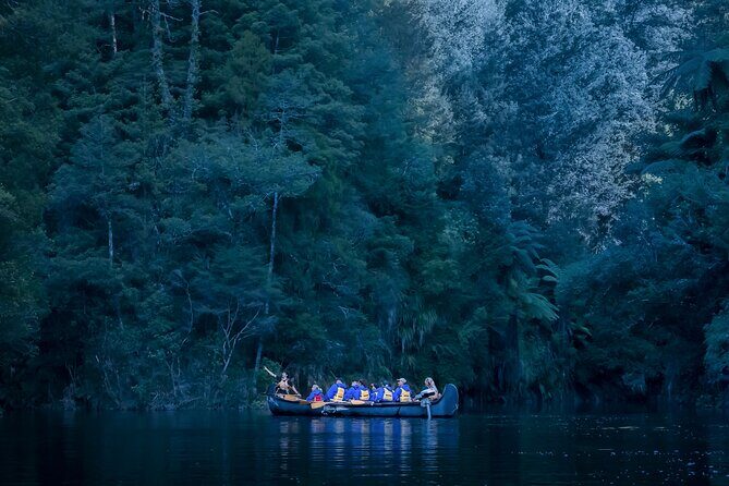Tauranga Evening Big Kanu Glowworm Tour - An In-Depth Look at the Tauranga Big Kanu Glowworm Tour