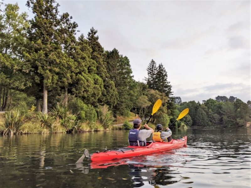 Tauranga: Evening Glowworm Kayak Tour - Key Points