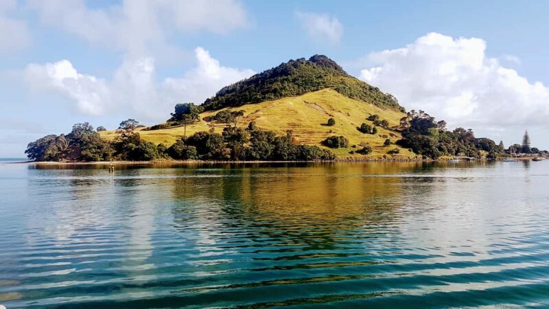Tauranga Harbour Cruise - Key Points