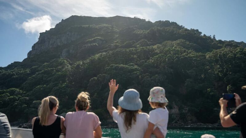 Tauranga Harbour Cruise - Exploring Tauranga Harbour: What You Can Expect