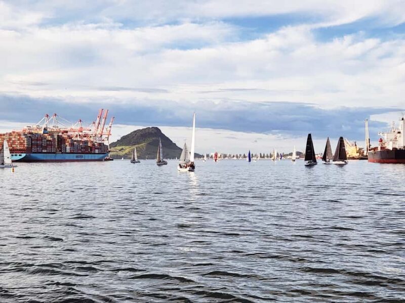 Tauranga Harbour Cruise - Who Will Love This Experience?