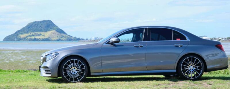 Tauranga: Kiwifruit Destination and Sights Shore Excursion - The Experience in Perspective