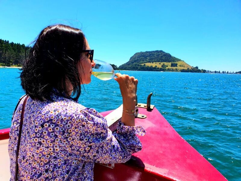 Tauranga: Mount Maunganui Harbour Sightseeing Cruise - The Charm of the Kewpie Ferry