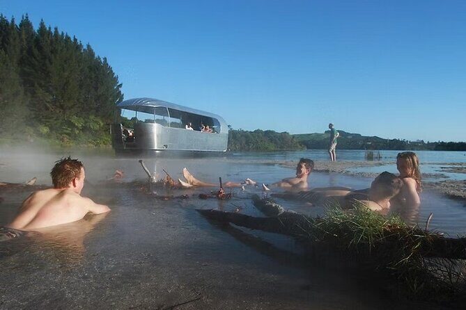 Tauranga Port - Pure Cruise Rotoiti Lake, Glowworms & Hells Gate - Discovering Tauranga’s Hidden Gems: A Detailed Look at the Pure Cruise Rotoiti Lake, Glowworms & Hells Gate Tour
