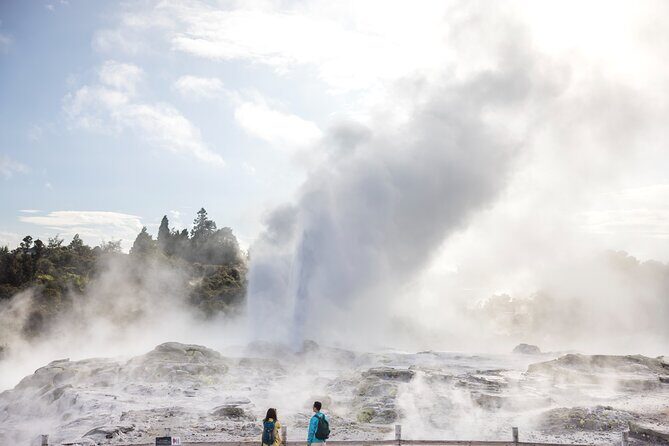 Tauranga Private Excursion: Rotorua -Te Puia-Geysers & Kiwi's - A Closer Look at the Rotorua Private Excursion