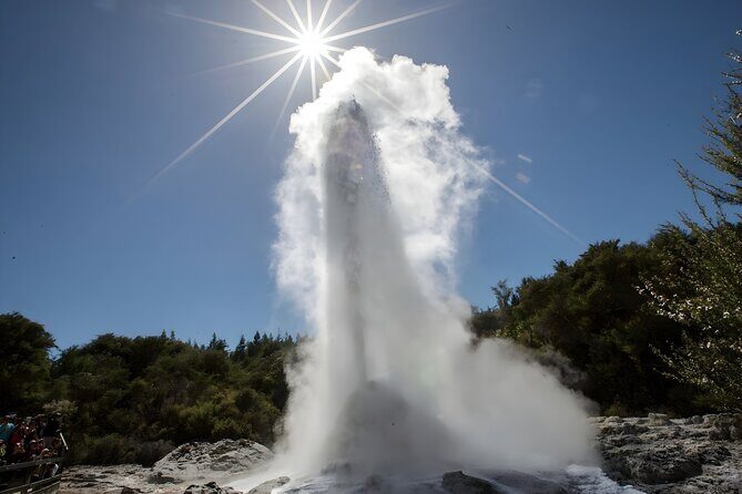Tauranga Private Shore Excursion: Wai-O-Tapu Thermal Wonderland - Final Thoughts