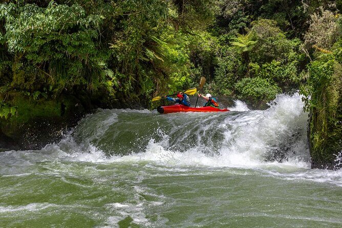 Tauranga Shore Excursion: Rotorua Highlights - Key Points