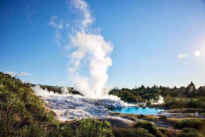 Tauranga Shore Excursion: Rotorua Highlights - Who Should Consider This Tour?