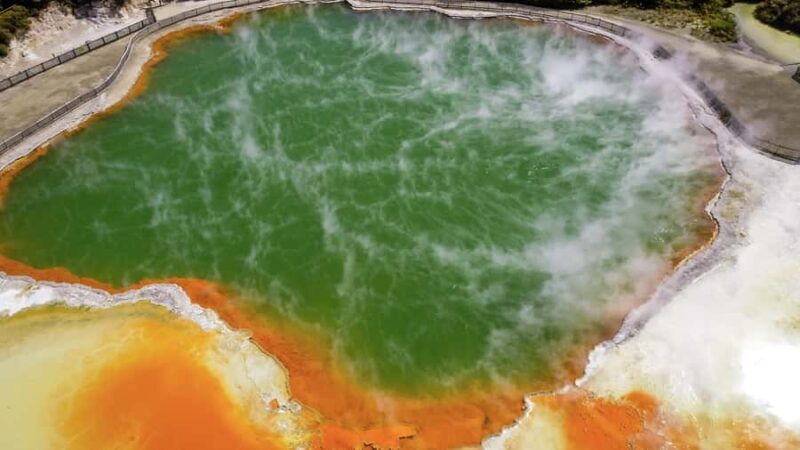 Tauranga: Wai-o-Tapu with Redwood Forest Walk or Forest Spa - Key Points