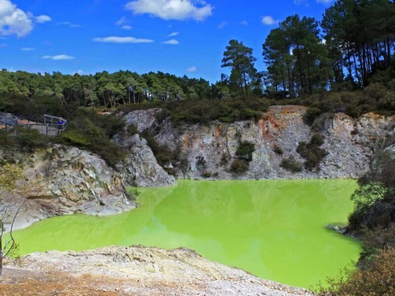 Tauranga: Wai-o-Tapu with Redwood Forest Walk or Forest Spa - What Makes This Tour Stand Out?