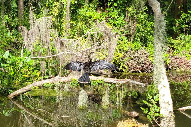 tavares-half-day-kayak-rental-for-two-on-the-dora-canal