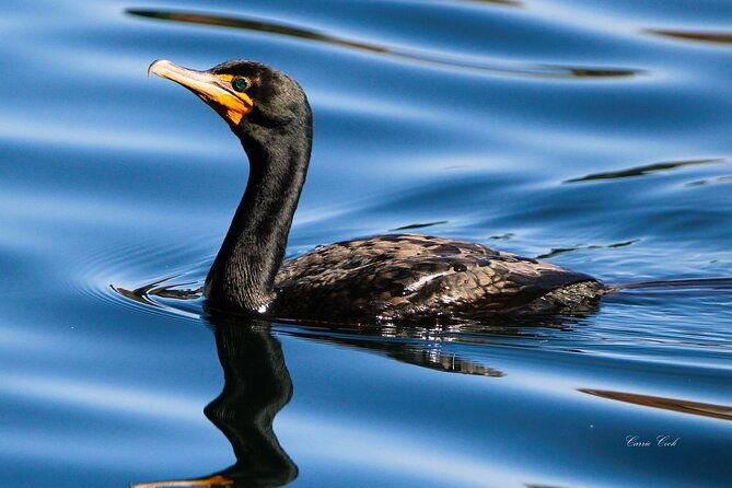 tavares-half-day-kayak-rental-for-two-on-the-dora-canal
